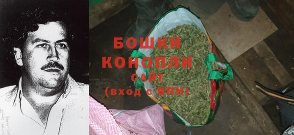 амф Елабуга