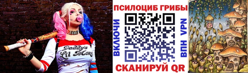 наркотики  Александров  Галлюциногенные грибы Psilocybe 